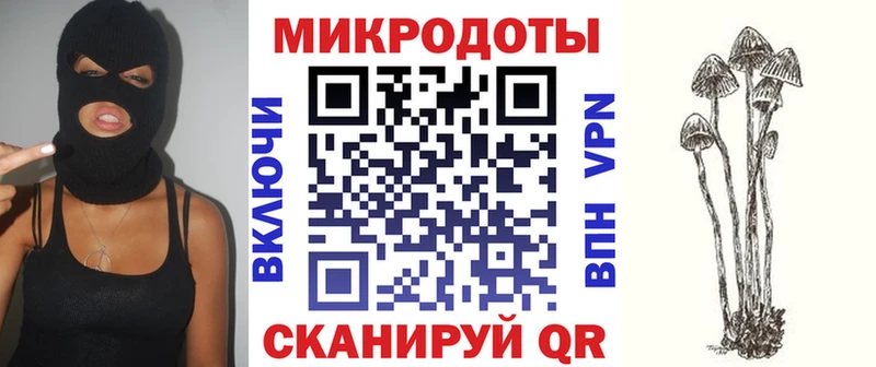 Галлюциногенные грибы Psilocybe Учалы